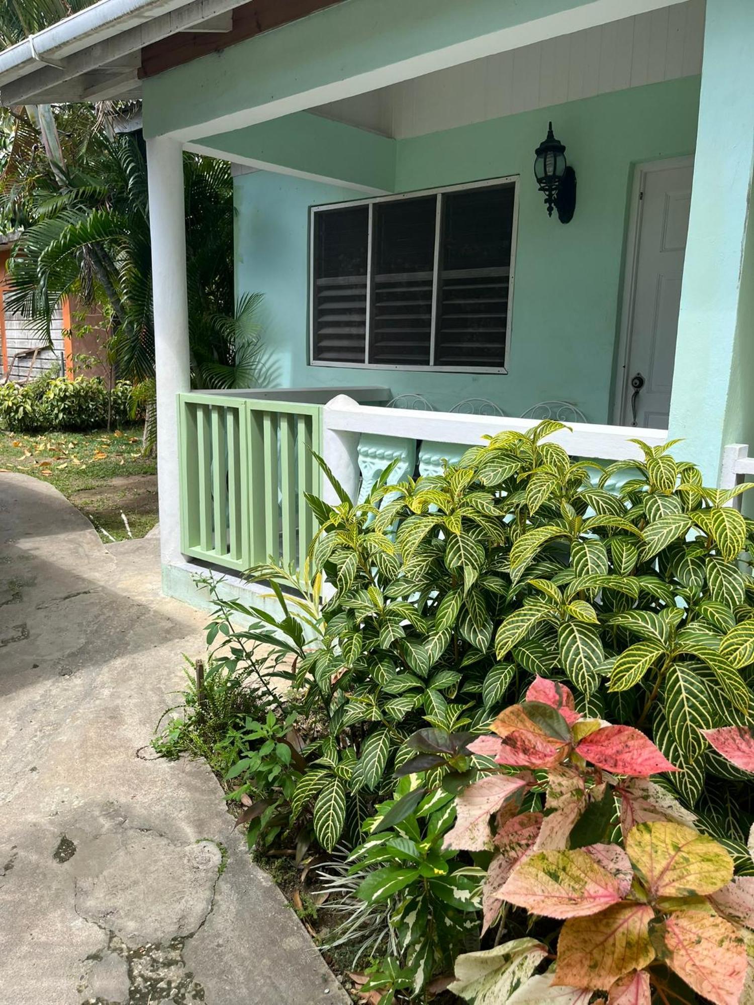 Andre'S Guest House เนกริล ภายนอก รูปภาพ