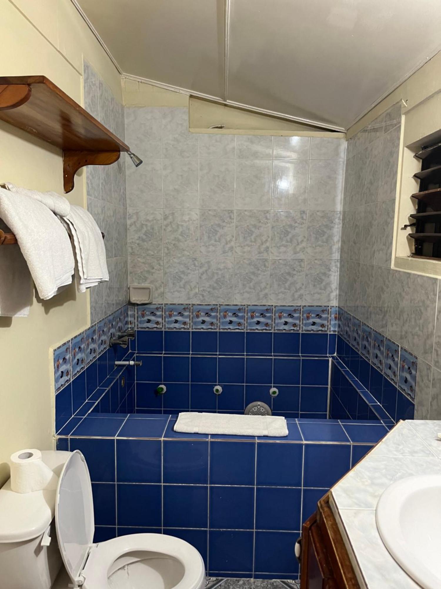 Andre'S Guest House เนกริล ภายนอก รูปภาพ